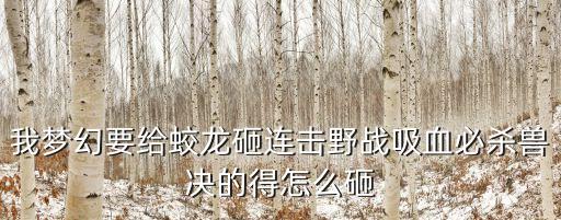 我梦幻要给蛟龙砸连击野战吸血必杀兽决的得怎么砸