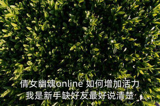 倩女幽魂online 如何增加活力我是新手缺好友最好说清楚