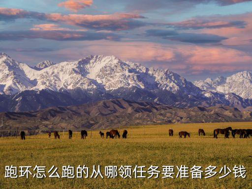 跑环怎么跑的从哪领任务要准备多少钱