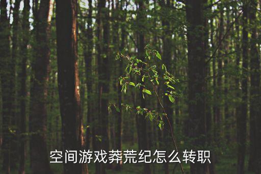 空间游戏莽荒纪怎么转职