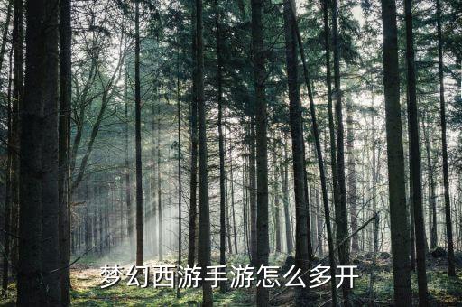 梦幻西游手游怎么多开