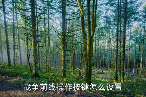 战争前线操作按键怎么设置