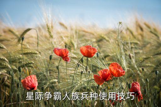 星际争霸人族兵种使用技巧
