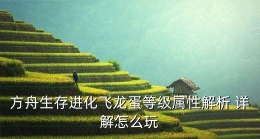 方舟生存进化飞龙蛋等级属性解析 详解怎么玩
