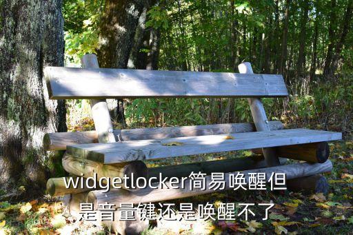 widgetlocker简易唤醒但是音量键还是唤醒不了