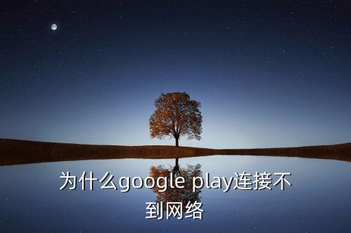为什么google play连接不到网络