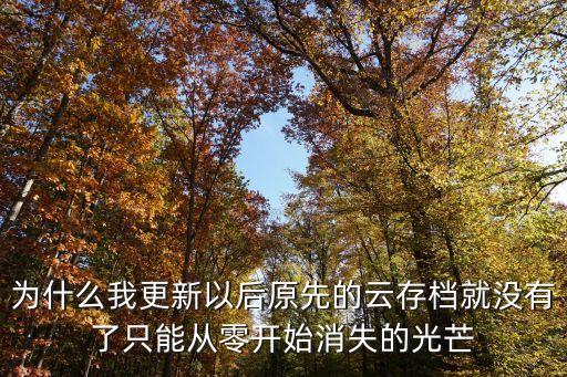 方舟手游不显示云存档怎么办，请正确设置你的网络环境以确保游戏能够使用云存档服务