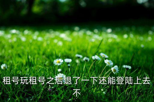 租号玩租完号怎么登录手游，租号玩有人用过吗是怎么使用的