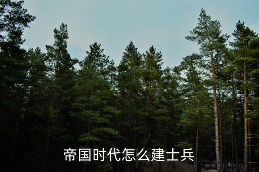帝国时代怎么建士兵