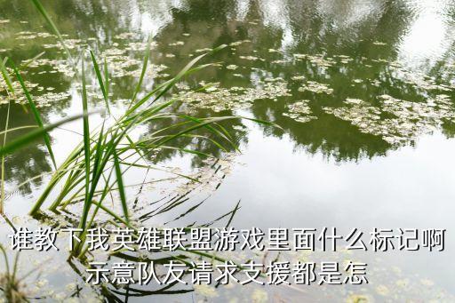 谁教下我英雄联盟游戏里面什么标记啊示意队友请求支援都是怎