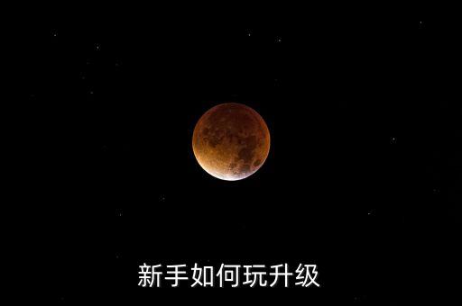 新手如何玩升级