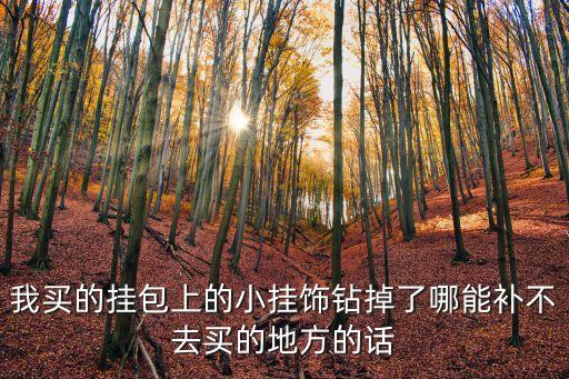 神武手游带饰品怎么补回来，我买的挂包上的小挂饰钻掉了哪能补不去买的地方的话