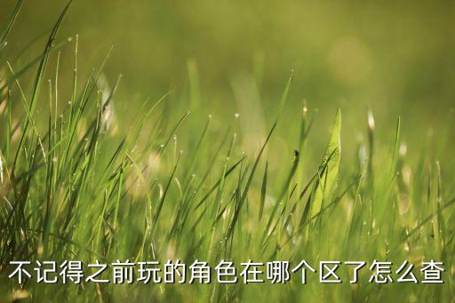 不记得之前玩的角色在哪个区了怎么查