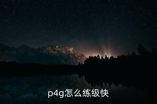p4g怎么练级快