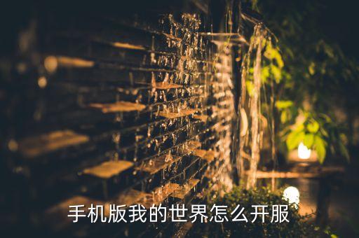 手机版我的世界怎么开服