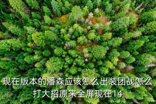 现在版本的潘森应该怎么出装团战怎么打大招原来全屏现在14