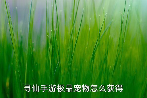 寻仙手游极品宠物怎么获得