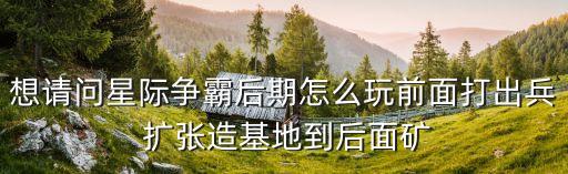 想请问星际争霸后期怎么玩前面打出兵 扩张造基地到后面矿