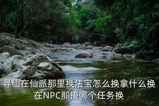 寻仙在仙派那里换法宝怎么换拿什么换在NPC那接哪个任务换