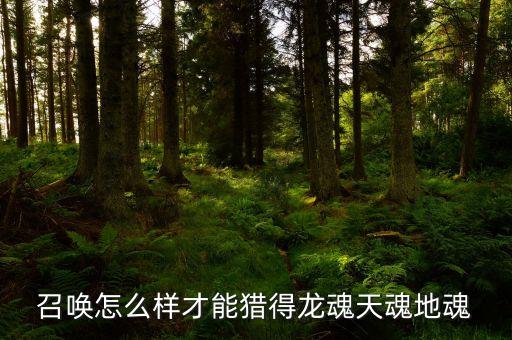 召唤怎么样才能猎得龙魂天魂地魂