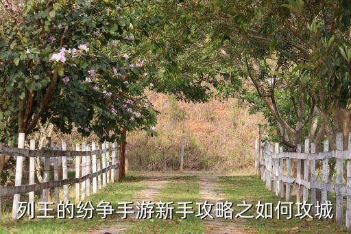 列王的纷争手游新手攻略之如何攻城