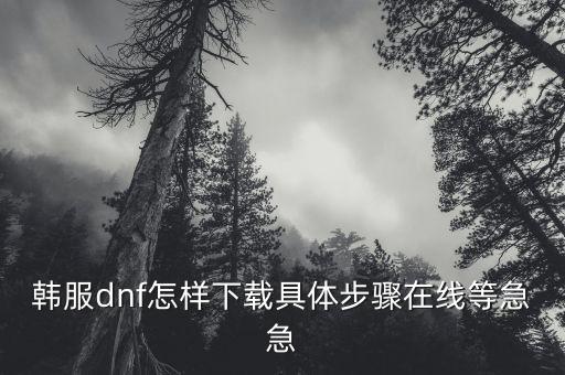 韩服dnf怎样下载具体步骤在线等急急