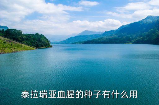 泰拉瑞亚血腥的种子有什么用