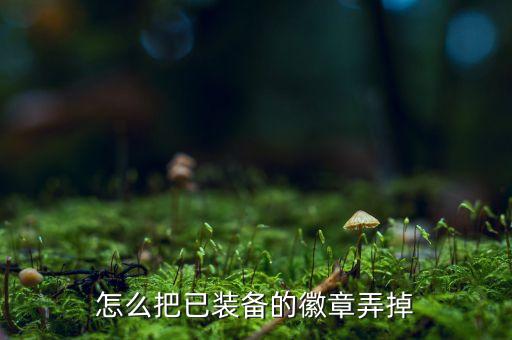怎么把已装备的徽章弄掉