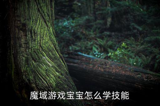 魔域游戏宝宝怎么学技能