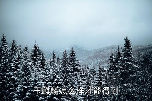 玉麒麟怎么样才能得到
