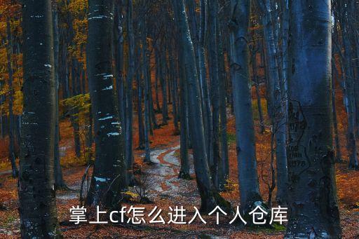 掌上cf怎么进入个人仓库