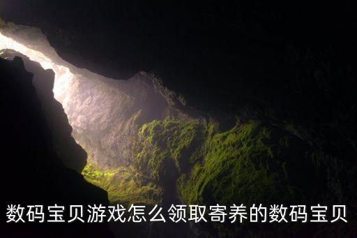 数码宝贝游戏怎么领取寄养的数码宝贝