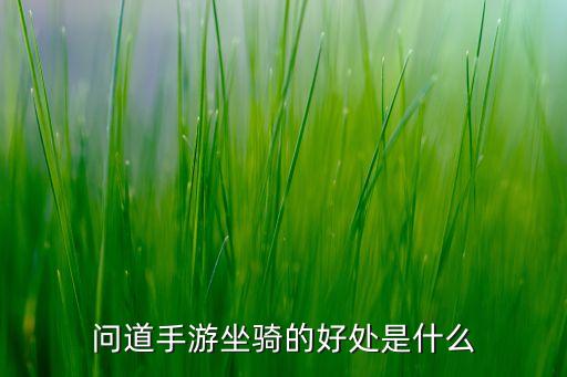 问道手游坐骑的好处是什么