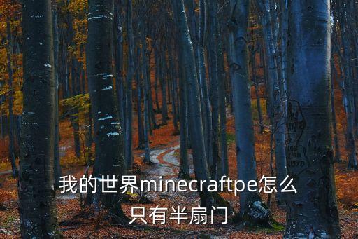 我的世界minecraftpe怎么只有半扇门