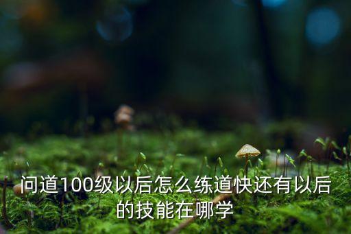 问道100级以后怎么练道快还有以后的技能在哪学