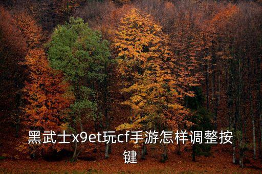 黑武士x9et玩cf手游怎样调整按键