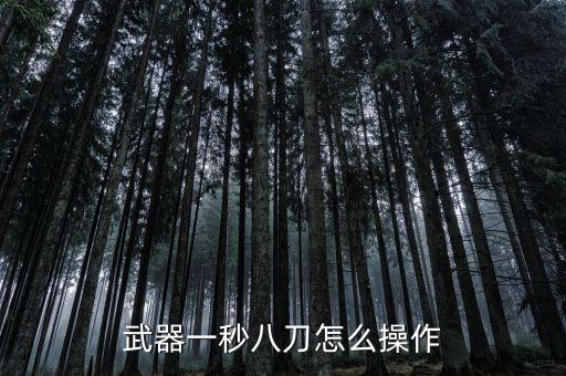 武器一秒八刀怎么操作