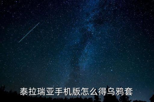 手游乌鸦怎么给装备，泰拉瑞亚手机版怎么得乌鸦套