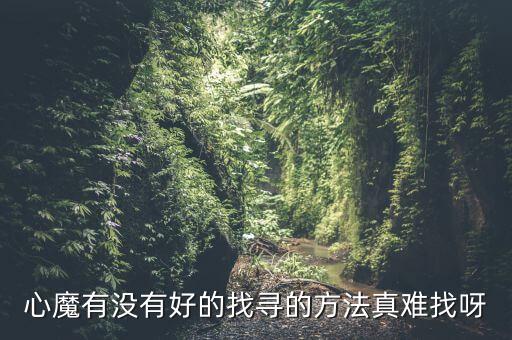 心魔有没有好的找寻的方法真难找呀