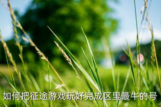 如何把征途游戏玩好完成区里最牛的号