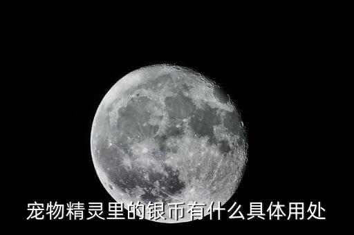 宠物精灵里的银币有什么具体用处