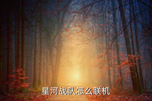星河战队怎么联机