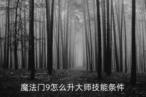 魔法门9怎么升大师技能条件