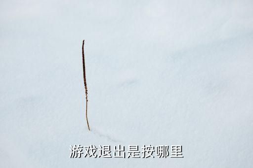 游戏退出是按哪里