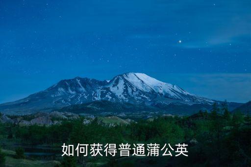 如何获得普通蒲公英