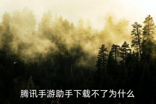 腾讯手游助手下载不了为什么