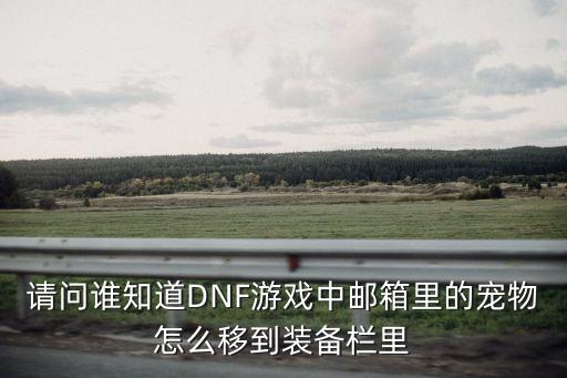 请问谁知道DNF游戏中邮箱里的宠物怎么移到装备栏里