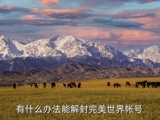 有什么办法能解封完美世界帐号