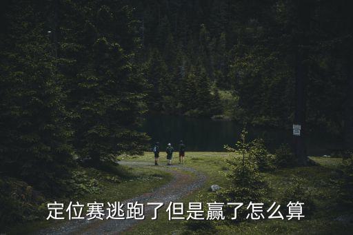 英雄联盟手游逃跑赢了怎么算，英雄联盟排位晋级赛逃跑但是胜利了按什么算