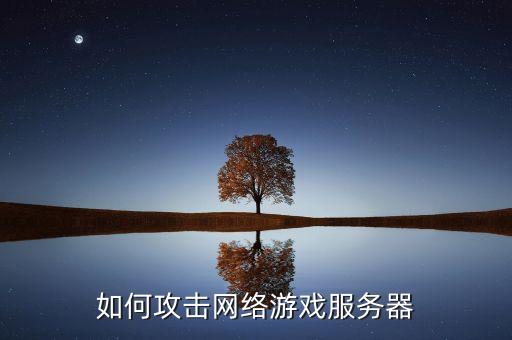 如何攻击网络游戏服务器